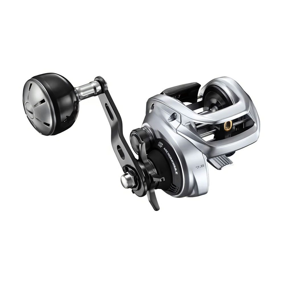 Moulinet de pêche SHIMANO TRAN - Daiwa Reel Bg avis et prix