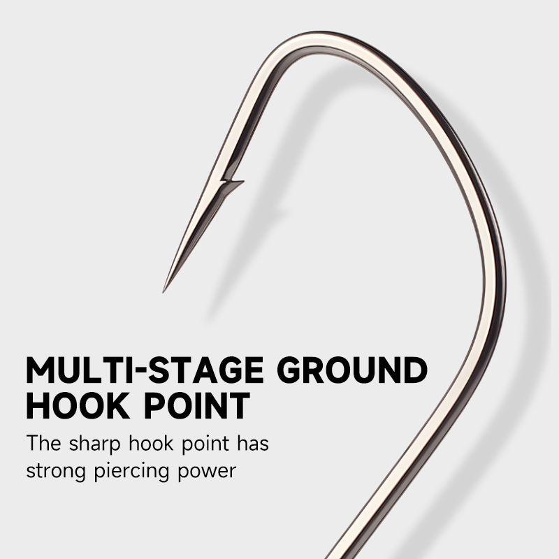 Supercontinent 2 # -12 #   10  - Fishing Hook Assortment avis et prix